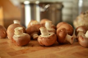 mushroom-chocolate-4