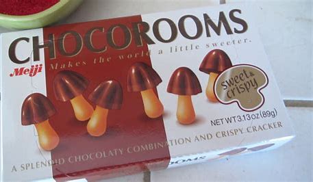 mushroom-chocolate-bars-1